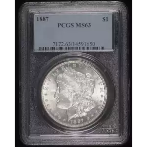 Morgan Silver Dollar