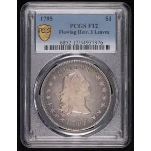 1795 $1 Flowing Hair, 3 Leaves (2)